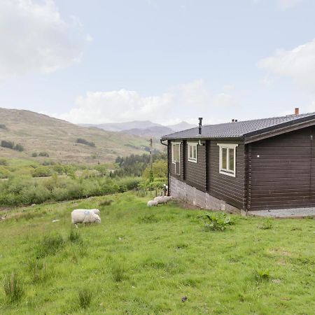 Snowdon Vista Cabin Villa เคอร์นาวอน ภายนอก รูปภาพ