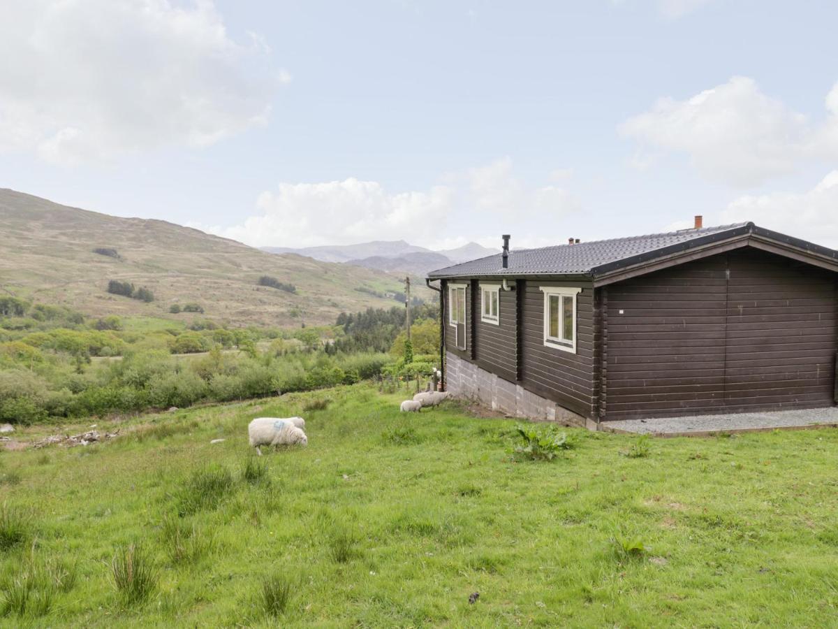 Snowdon Vista Cabin Villa เคอร์นาวอน ภายนอก รูปภาพ