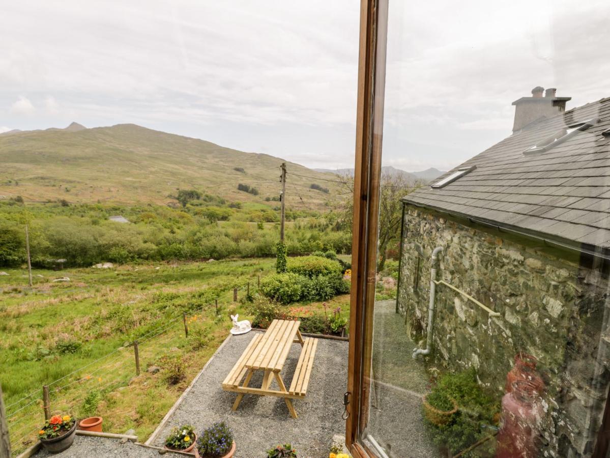 Snowdon Vista Cabin Villa เคอร์นาวอน ภายนอก รูปภาพ